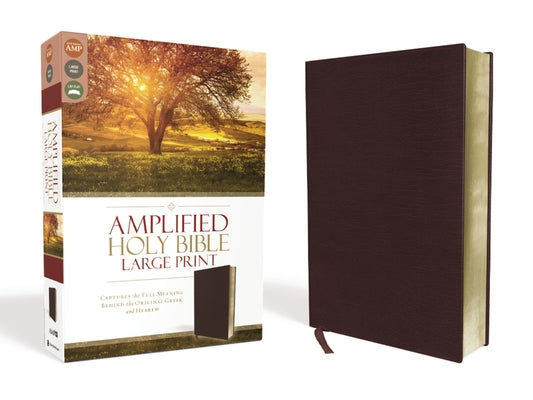 Cover Image for Amplified Bible-Am-Large Print: Captures the Full Meaning Behind the Original Greek and Hebrew -- Zondervan, Bonded Leather