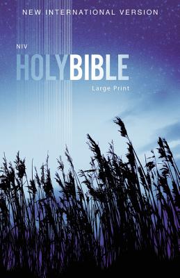 Cover Image for Outreach Bible-NIV -- Zondervan, Paperback