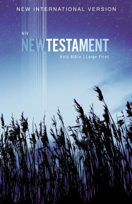 Cover Image for NIV, Outreach New Testament, Large Print, Paperback -- Zondervan, Paperback