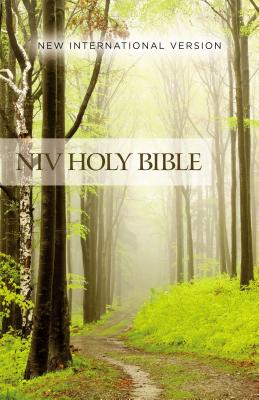 Cover Image for NIV, Value Outreach Bible, Paperback -- Zondervan, Paperback