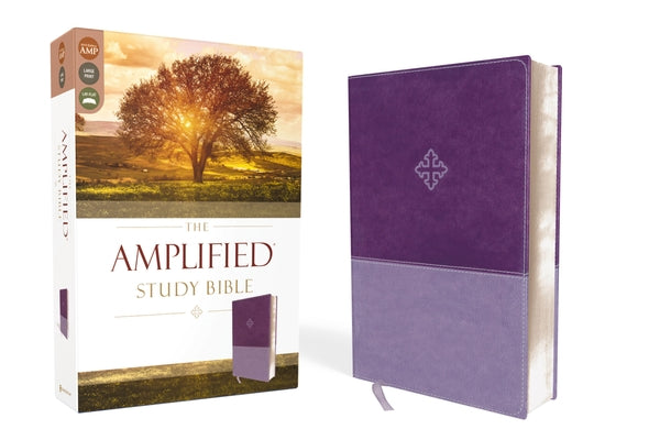 Cover Image for Amplified Study Bible, Imitation Leather, Purple -- Zondervan, Imitation Leather