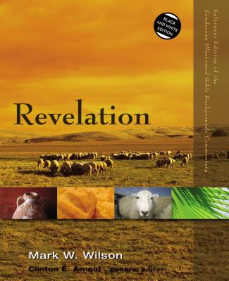Cover Image for Revelation -- Mark W. Wilson, Paperback