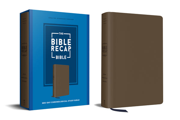 Cover Image for The Bible Recap 365-Day Chronological Study Bible: English Standard Version--Imitation Leather -- Tara-Leigh Cobble, Imitation Leather
