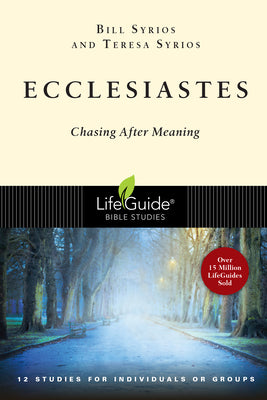 Cover Image for Ecclesiastes: Chasing After Meaning -- Bill Syrios, Paperback