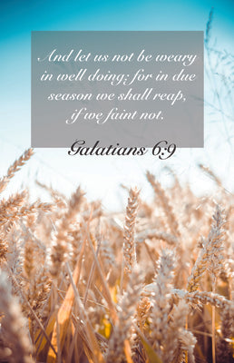 Cover Image for General Worship Bulletin - Due Season (Package of 100): Galatians 6:9 (Kjv) -- Broadman Church Supplies Staff, Paperback