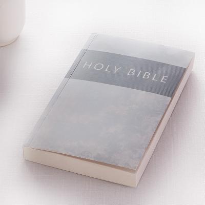 Cover Image for KJV Budget Softcover Silver -- , Paperback
