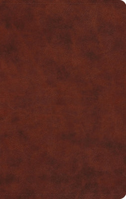 Cover Image for Large Print Value Thinline Bible-ESV -- Esv Bibles, Imitation Leather