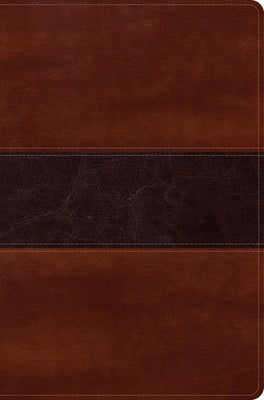 Cover Image for Rvr 1960 Biblia del Pescador Letra Grande, Caoba Símil Piel -- Luis Ángel Díaz-Pabón, Imitation Leather