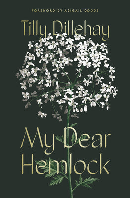 Cover Image for My Dear Hemlock -- Tilly Dillehay, Hardcover