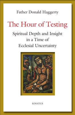 Cover Image for The Hour of Testing: Spiritual Depth and Insight in a Time of Ecclesial Uncertainty -- Donald Haggerty, Paperback
