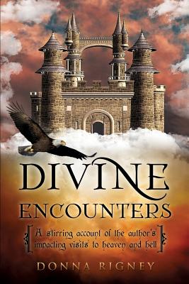 Cover Image for Divine Encounters -- Donna Rigney, Paperback