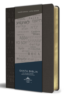 Cover Image for Biblia Rvr 1960 Letra Grande Tamaño Manual, Simil Piel Gris Con Nombres de Dios / Spanish Bible Rvr 1960 Handy Size Large Print Leathersoft Grey, Name -- Reina Valera Revisada 1960, Bonded Leather