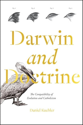Cover Image for Darwin and Doctrine: The Compatibility of Evolution and Catholicism -- Daniel Kuebler, Hardcover